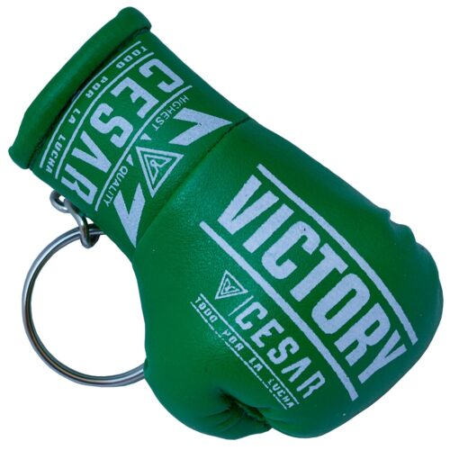LLAVERO GUANTE DE BOXEO VERDE